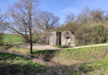 Trail Walking Villey-Saint-Étienne - FORT DU VIEUX CANTON ET SES ENVIRONS - Photo