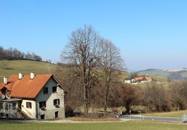 Percorso A piedi Bad Schönau - Schönau - Schlägen - Habich - Photo