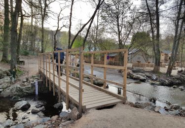Tour Wandern Weismes - UTDS - Fagne de Polleur/Sart - Photo
