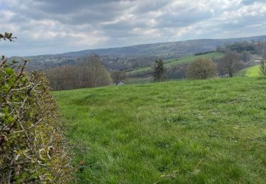 Excursión Senderismo Olne - Rafhay Vaux Nessonvaux prés de Srtaet - Photo