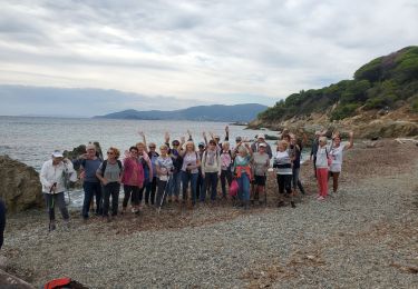 Randonnée Marche Cavalaire-sur-Mer - Brouis - Photo