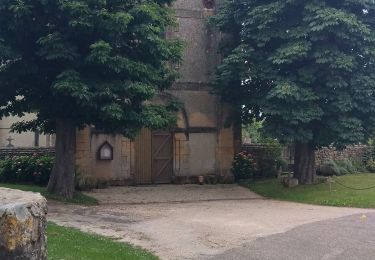 Tour Wandern Cause-de-Clérans - CAUSE Pays de Lindois - Photo