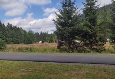 Tour Wandern Xonrupt-Longemer - Retournemer  - Photo