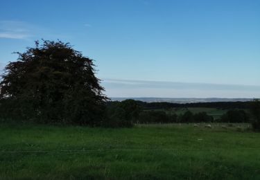 Randonnée Marche Durbuy - WERIS ...  et ses Mégalithes. - Photo