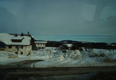 Tour Zu Fuß Thalgau - Rauchhaus Rundweg - Photo