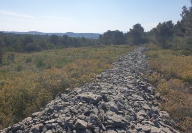 Percorso Marcia Villegly - Les Quatre vents - Photo