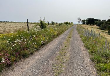 Randonnée Marche Le Vernet-Sainte-Marguerite - Le Puy d’Alou - Photo