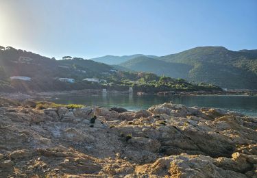 Tocht Stappen Calcatoggio - Tour d'Ancone - Photo
