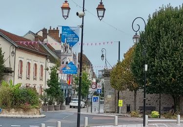 Trail Walking Nogent-sur-Seine - 221016 Nogent sur Seine - Photo