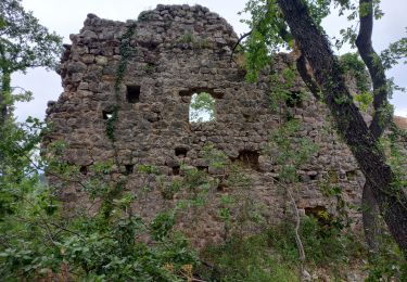 Randonnée Marche Callian - Callian, ruines de Velnasque - Photo