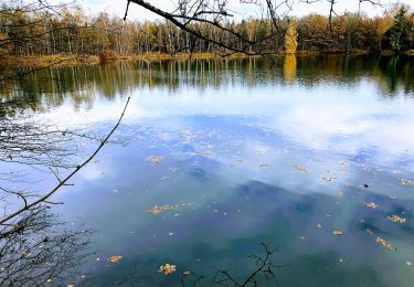 Randonnée A pied Neubeuern - Neuner See - Photo