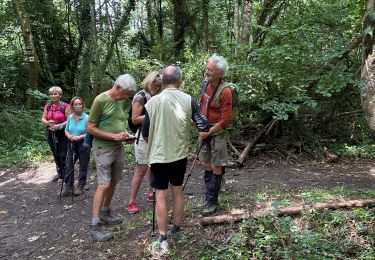 Trail Walking Rochefort - Han-sÃ»r-Lesse - Photo