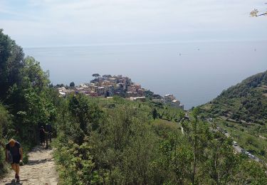 Tocht Stappen Riomaggiore - Riomaggiore - Manarola - Corniglia 7.5.23 - Photo