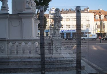 Percorso A piedi Gemeinde Mistelbach - Zayarundwanderweg - Photo