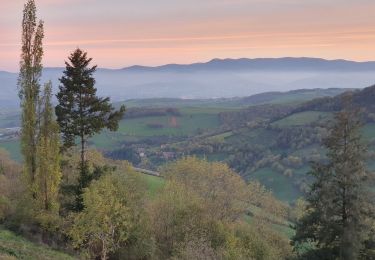 Trail Walking Riverie - Riverie - Tour au dessus de Riverie - Photo