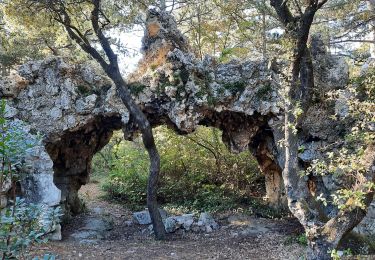 Randonnée Marche Donzère - Le Navon - Les Ruines de Belle-Eau 7km5 - Photo