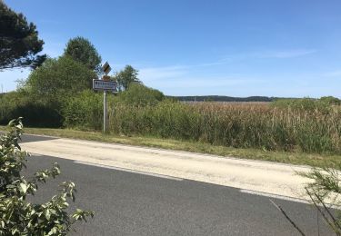 Trail Walking Carcans - 06-05-2019 jour 6 - Photo