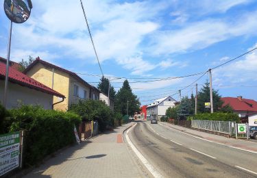 Percorso A piedi Valašské Klobouky - Hložecký okruh - Photo