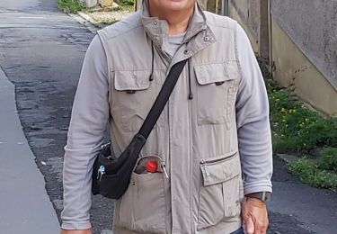 Percorso Marcia Virton - citron autour camping  - Photo