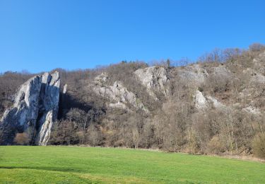 Randonnée Marche Dinant - rando furfooz 2-03-2023 - Photo