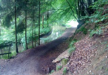 Percorso A piedi Mömbris - Genuss pur Mömbriser Wirte - Photo