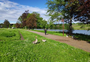 Trail Walking Remich - luxembourg - Photo