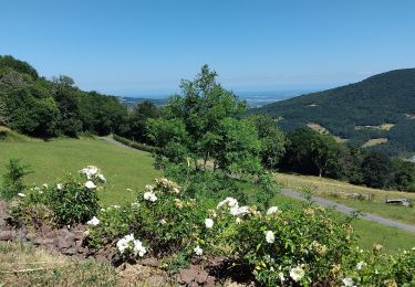 Trail Walking Vernay - VERNAY 69 - Photo