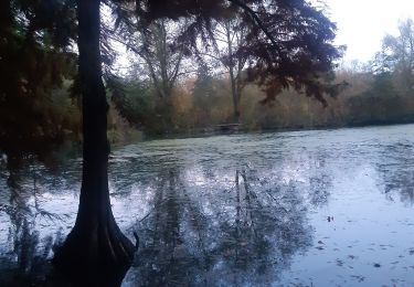 Tocht Stappen Amiens - amiens camon amiens par les hortillonnages - Photo