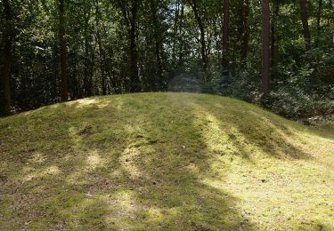 Tour Zu Fuß Peer - Hoksent-Molhem Oranje bol - Photo