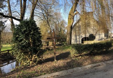 Percorso Marcia Nassogne - Nassogne Ambly - Photo
