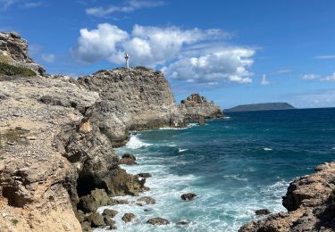 Trail Walking Saint-François - La pointe des châteaux  - Photo