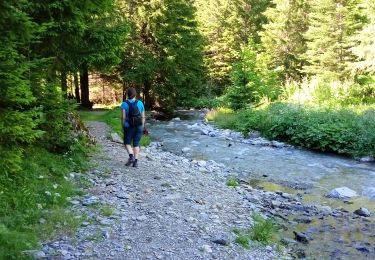 Trail Walking Lavaldens - Les cascades de Vaunoire - Photo
