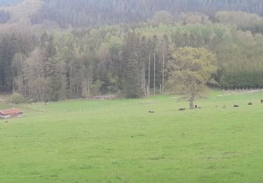 Tour Wandern Hohenfels - bonnerue - Photo