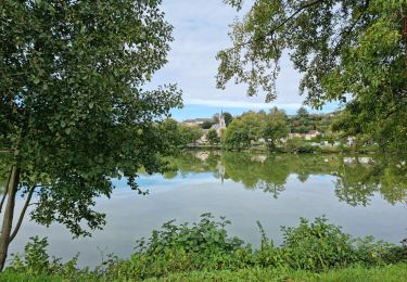 Trail Walking Saint-Ouen - Parcours nature à Saint-Ouen (41100) - Photo