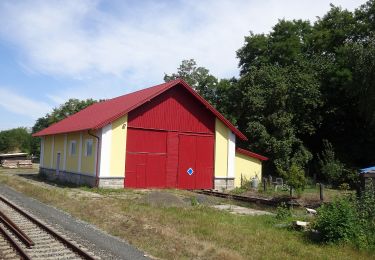 Excursión A pie Nýrsko - NS Po stopách starých formanů - Photo