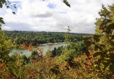 Trail Walking Saintry-sur-Seine - foret de Rougeau_par_les_bords_de_seine-13765685_rectifié - Photo