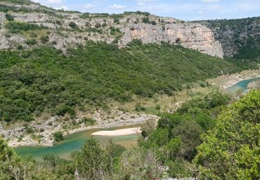 Trail Walking Poulx - poulx le 25 05 2024 - Photo
