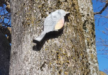 Trail Walking Navacelles - Cal  les aiguieres petites et grandes - Photo