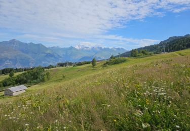 Randonnée Marche Peisey-Nancroix - Peisey Vallandry Le Chantel  - Photo