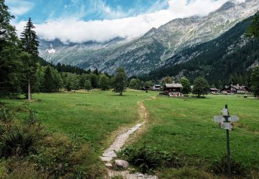 Tour Zu Fuß Macugnaga - Stra Granda tappa 2 - Photo