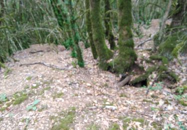 Trail Walking Nuits-Saint-Georges -  Nuits - St- G. Sentier de la Grande Carrière 4.8km d.125m - Photo