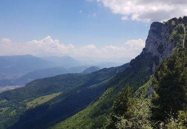 Excursión Senderismo Lans-en-Vercors - Vertige des Cimes MN 2021 - Photo