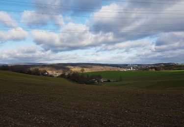 Excursión A pie Eschelbronn - Rundwanderweg Eschelbronn Sporthalle 3: Kuhloch-Weg - Photo