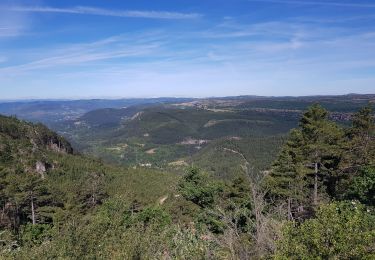 Tocht Noords wandelen Saint-Pierre-de-la-Fage - SityTrail - St-Pierre de la Fage - Pas de Cabane - Roqueboude - Photo