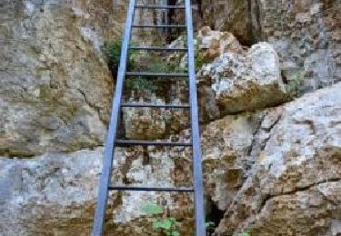 Trail Walking La Palud-sur-Verdon - Sentier-Imbut-et-Vidal - Photo