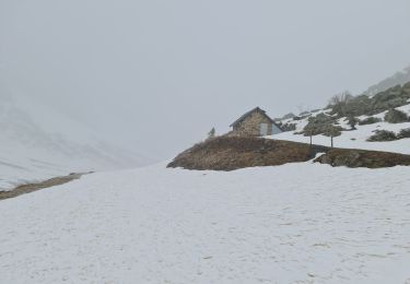 Randonnée Raquettes à neige Aragnouet - Piau-Engaly: Le Col, Neste de Badet (Brouillard) - Photo