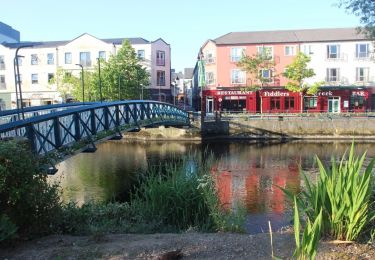 Trail On foot Sligo Municipal Borough District - Sligo Town Slí na Sláinte - Photo