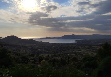 Trail Walking La Cadière-d'Azur - Dans les vignes autour de la Cadiere - Photo
