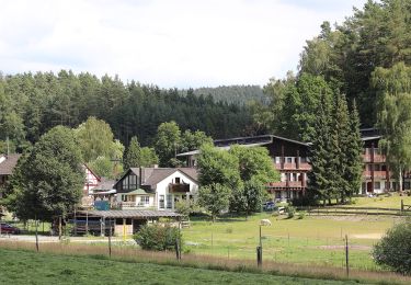 Randonnée A pied Mitwitz - Wasserschloss-Runde - Photo