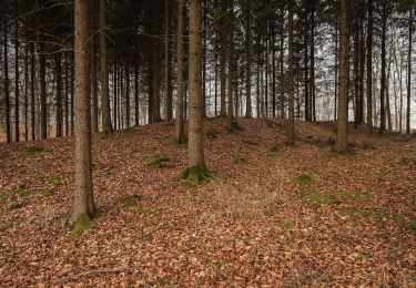 Excursión A pie Langenenslingen - Aeusserer Zugangsweg des Schwäbischen Albvereins (blaues Dreieck) - Photo